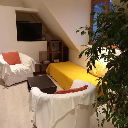 T2 Lumineux Refait A Neuf, Au Calme, Jardin Partage *