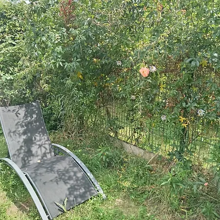 T2 Lumineux Refait A Neuf, Au Calme, Jardin Partage